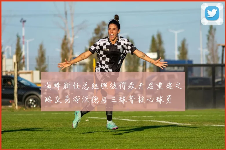 黄蜂新任总经理彼得森开启重建之路交易海沃德与三球等核心球员