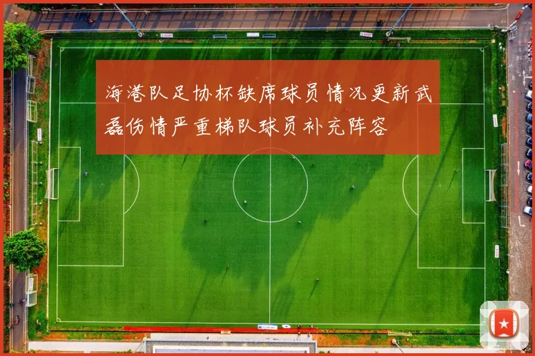 海港队足协杯缺席球员情况更新武磊伤情严重梯队球员补充阵容